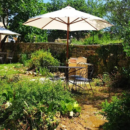 Guest house Gte De Charme Le Figuier Baron (Gard)
